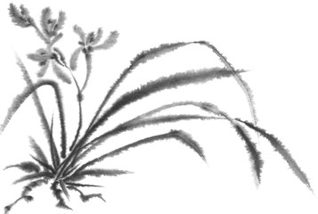 Wild Orchid. Black and white ink image. Chinese, japanese style. Graphic arts. Background with flowers. Flowers and leaves.