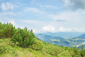 Fototapeta na wymiar Mountains with Plants against Blue Cloudy Sky
