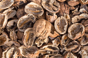 Cracked walnut shells with one complete walnut in the middle. Pieces of nutshells. Nutshell texture.
