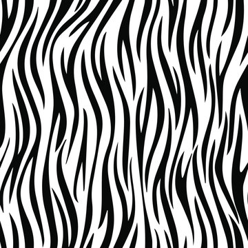 Full seamless wallpaper for zebra and tiger stripes animal skin pattern. Black and white design for textile fabric printing. Fashionable and home design fit.