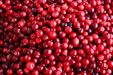 cranberries on wooden table