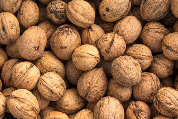 Walnut background, scattered pile of walnuts. Walnuts of Juglans regia.