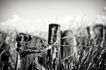 old Fence with barbed Wire