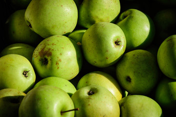 Group of fresh green organic ripe apples in display at a street food market in direct sunlight