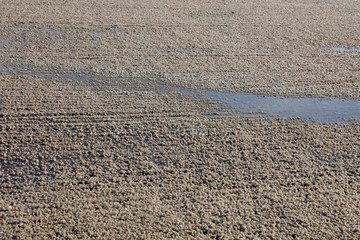 Friction trace in salt pond