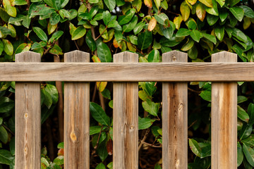 Fototapeta na wymiar valla de madera delante de jardín verde parque. fondo atrezzo estudio