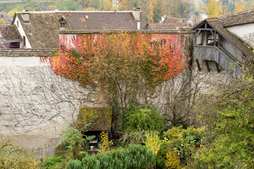 Schaffhausen im Herbst Schweiz