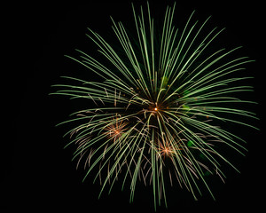 Fireworks in the night sky - Celebration