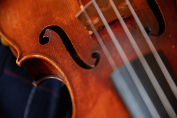 Violin