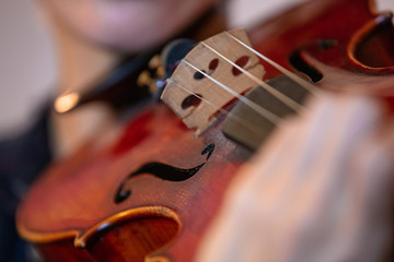 Fototapeta premium Playing violin