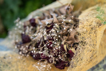 dried red roses close up