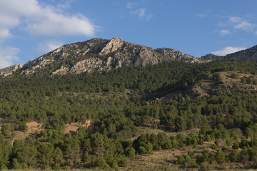 Fototapeta na wymiar rocky mountain with pine trees and clouds