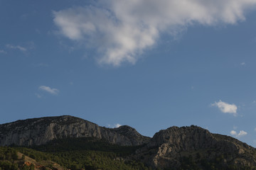 rocky mountain with pine trees and clouds