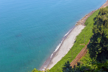 Beautiful daytime landscape: blue sea, beach, shore with growing pine trees. Georgia, Batumi.