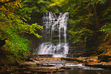 Waterfall in the Forest