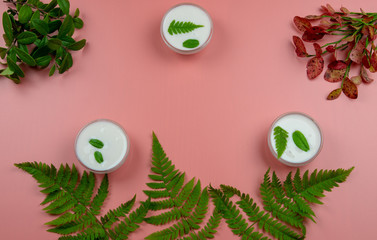 The concept of natural healing cosmetics, face cream, place for text. Forest herbs jars of cream.