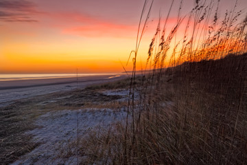 Breezy Night On The Beach
