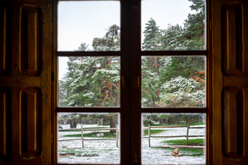 Landscape with snowy trees on the mountain of Castilla y Leon, on a winter day through a window in a mountain refuge, Spain, Castilla y Leon