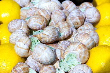 Stuffed seashells with lemons.