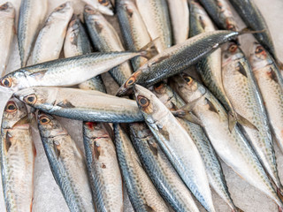 fresh fish at the market