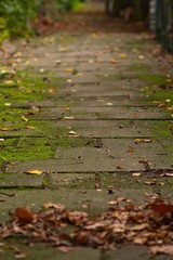 Ein gepflasterter Weg im Herbst mit Moos bewachsen und Laub bei trübem Wetter