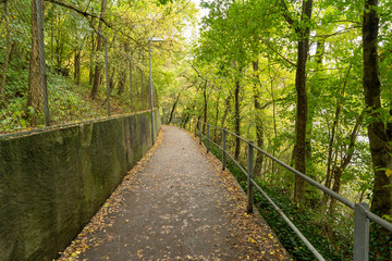 Obraz premium Schaffhausen im Herbst Schweiz