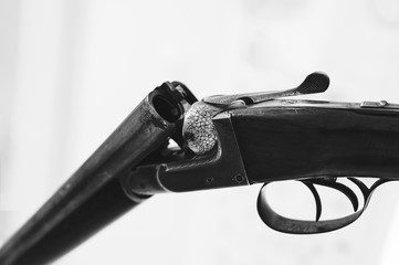 Old rifle xx century © Marek