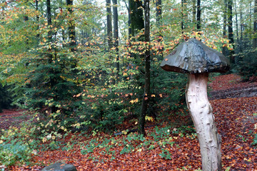 große pilze in holz geschnitzt im herbstlichen wald