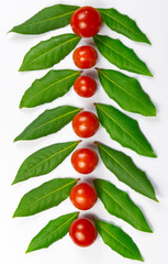 Green herb leafs and colorful tomatoes on white background