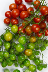Colorful tomatoes an a white background