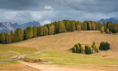 Fototapeta na wymiar Mountain Landscape at valley of Alpe di siusi in the Dolomites area at South Tyrol in Italy