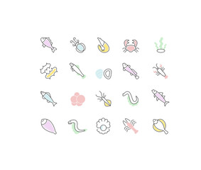 Set Vector Line Icons of Seafood