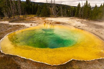 Morning Glory Pool Yellowstone Nationalpark