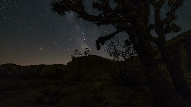 Astro Timelapse Tracking Shot of Milky Way thru Joshua Tree in Mojave Desert