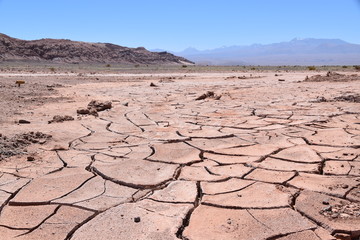 Atacama Desert