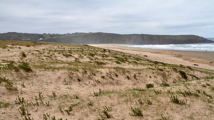 dunas de arena en la orilla de la costa del norte de España