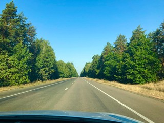 Asphalt highway with green forest. Sunny empty Road way and tall pines photo made from the car window.