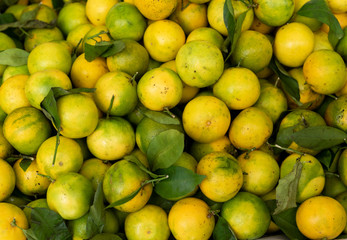  tropical fruit at an island market