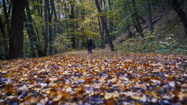 Frau auf Fahrrad im Wald - Herbst