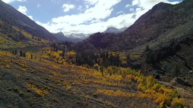 Aerial Shot of Fall Foliage Canyon in Sierra Nevada -Fly In-
