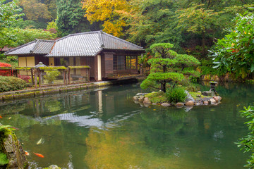 Fototapeta na wymiar Fantastic autumn in Japanese garden in Kaiserslautern.