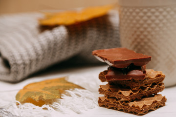 Autumn composition with knitted sweater, cocoa with marshmallows and yellow leaves