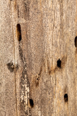Obraz premium Old Weathered Brownish Wood Texture