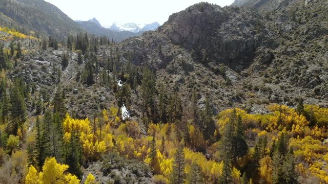 Aerial Shot of Fall Foliage Canyon in Sierra Nevada -Pull Away-