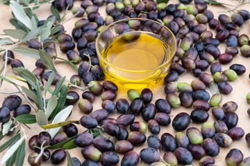 Olive oil in a glass bowl and freshly picked olives