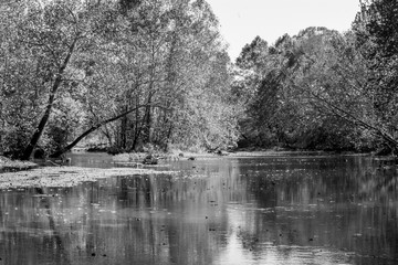 Park in Waynesville Missouri