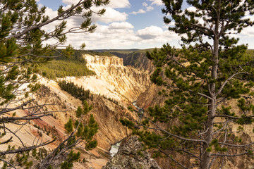 Obraz premium Grand Canyon of the Yellowstone River