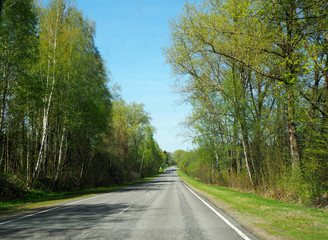 Fototapeta na wymiar road in spring