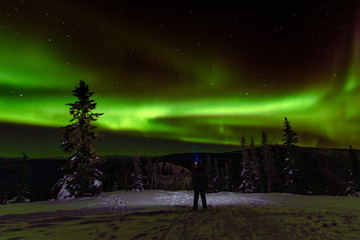 Wilderness Northern Lights