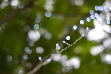 Obraz premium spring background